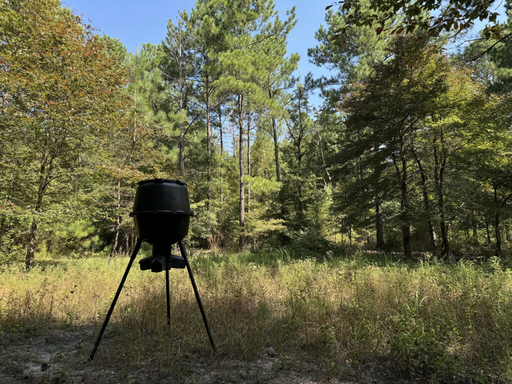 A close-up of a deer feeder in a grassy clearing, with tall trees in the background and sunlight illuminating the area.